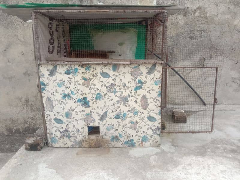 pigeon r birds cage  03180596500 price 9000 3