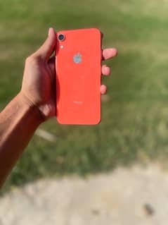 iphone xr 64gb