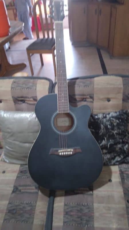 This Guitar is Acoustic Guitar 0