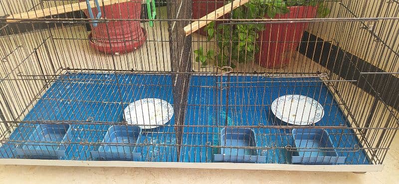 2 portions parrots cage 4