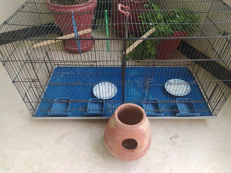 2 portions parrots cage 5