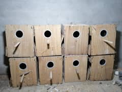 Breeding Boxes 10x10x12