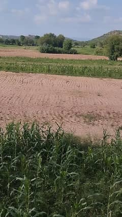 Agricultural Land 300 Kanal nearby chakri interchange