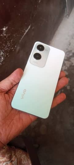 vivo