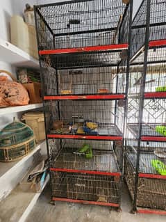 cage for sale ( love birds, bahri ,ring neck, etc)