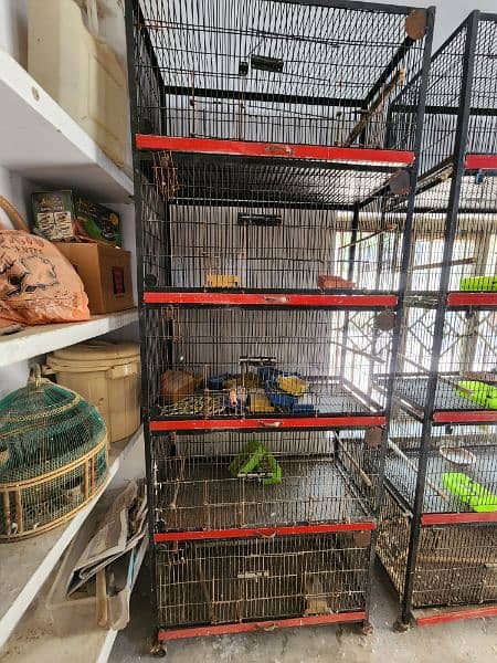 cage for sale ( love birds, bahri ,ring neck, etc) 1