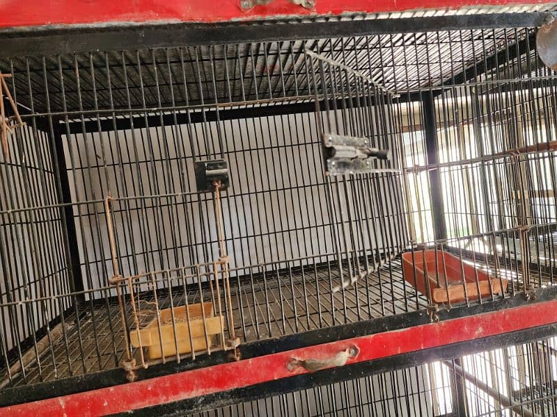 cage for sale ( love birds, bahri ,ring neck, etc) 2