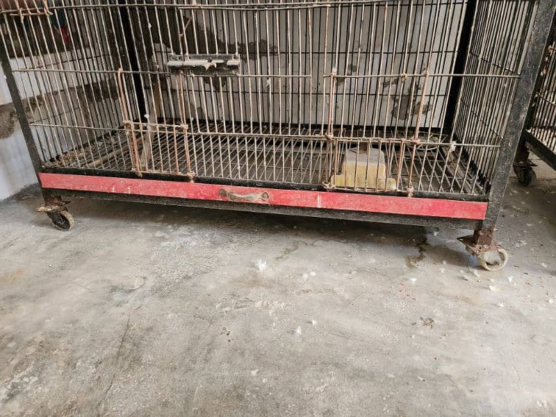 cage for sale ( love birds, bahri ,ring neck, etc) 3