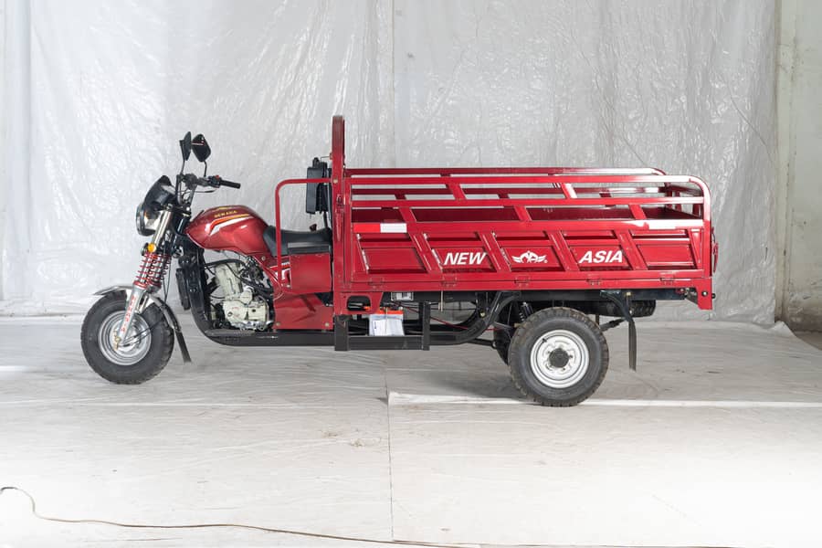 New asia 100cc loader rickshaw with power gear 3