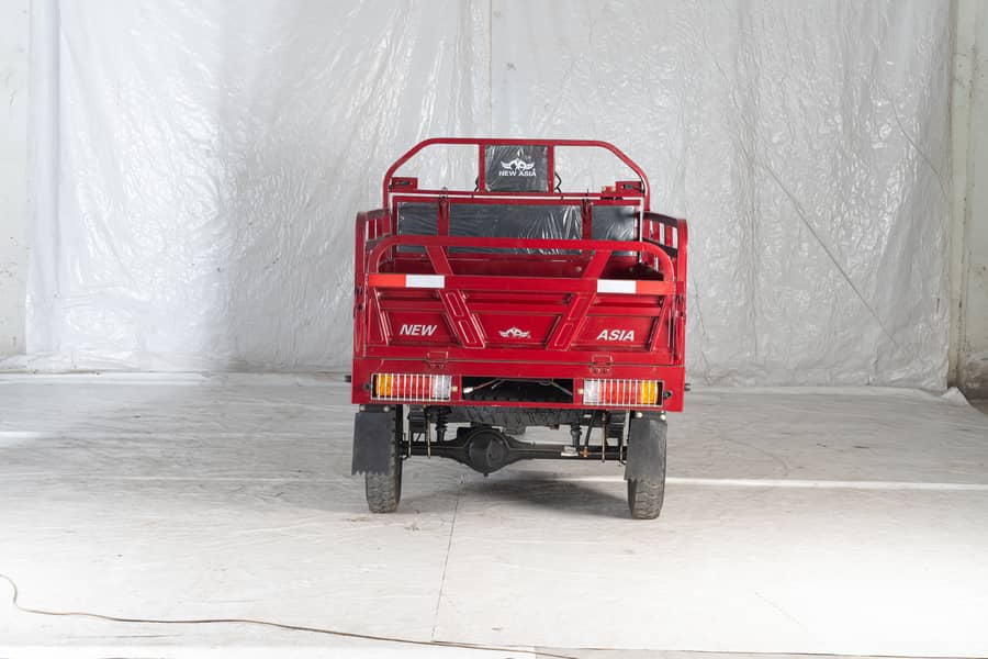 New asia 100cc loader rickshaw with power gear 6