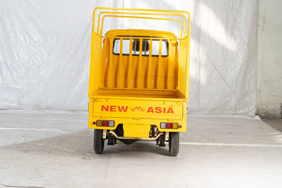 New Asia Auto Loader Rickshaw 200cc Dala 9