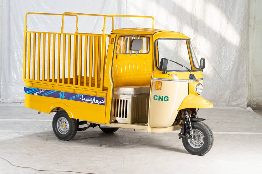 New Asia Auto Loader Rickshaw 200cc Dala 14