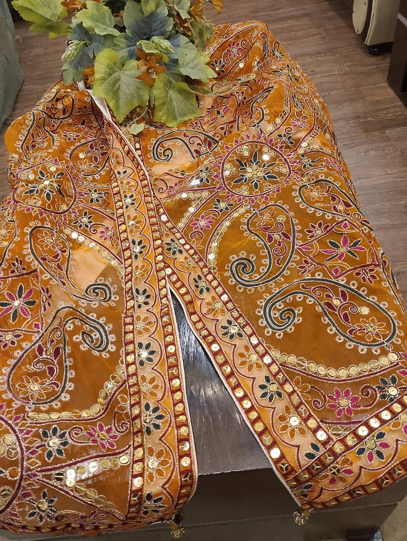 Fancy Dupatta 3