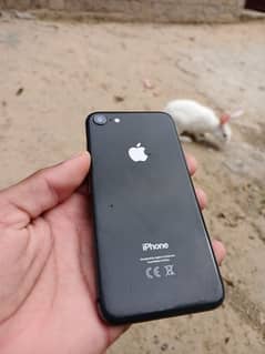 IPHONE 8 lush condition 64gb 0