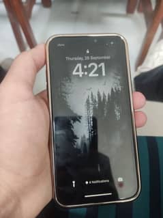 iPhone Xs PTA approved 0