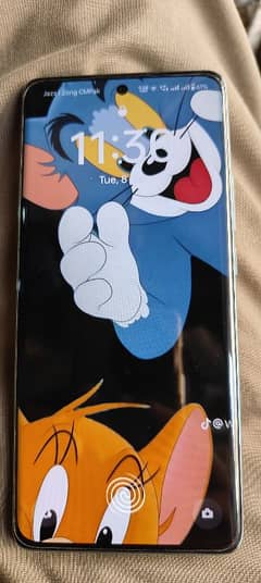 OPPO RENO 11