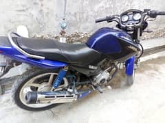 yamaha ybr 125