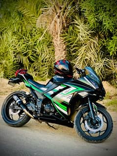 Kawasaki ninja zx300r 0