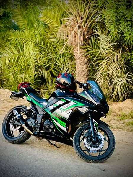 Kawasaki ninja zx300r 1