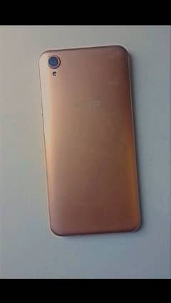 vivo y19