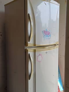 Fridge medium size