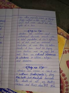 handwriting assignment work