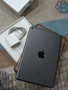 Ipad mini 5