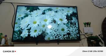 TV  for sale 03331339603