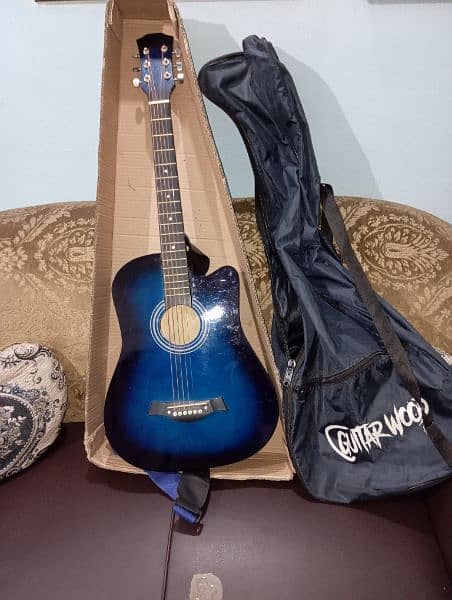 Blue Guitar 1