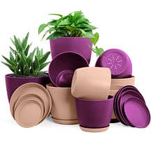 Extra Large Plant Pots with Drainage: Stylish Home Decor Flower