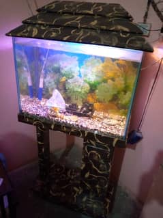 Fish Aquarium