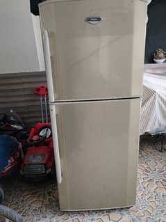 Haier Medium Size Fridge