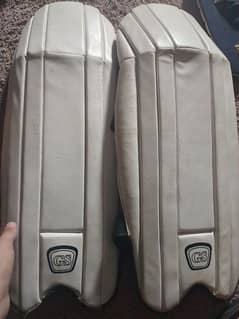 GS CRICKET PADS FOR SALE FOR KIDS AGE 8 TO 12 YEARS