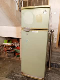 Freezer not damaged