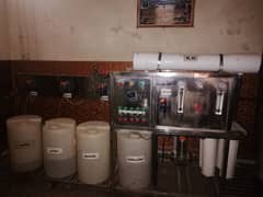 water plant for sell