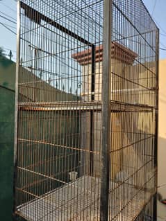 Birds, Parrotts cage