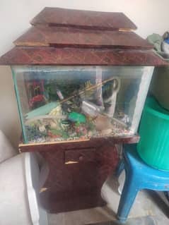 Aquarium with complete accessories