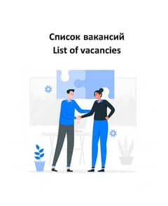 visa consultant