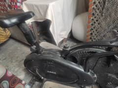 cardio Exercise Air Bike. walk & cycling 0