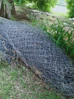 Wire fence