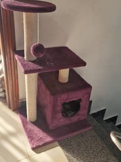 Cat tree, Cat scratcher, Cat stand