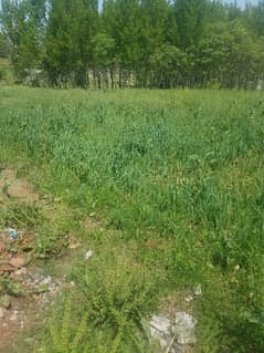 Plot for Sale | 7 Marla Plot | Seven Marla Plot | Abbottabad Township|