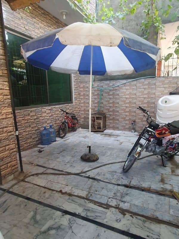 Large Umbrella 0