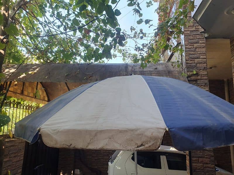 Large Umbrella 1