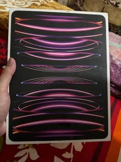 ipad pro m2chip 12.9"inch 256gb