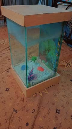 An aquarium