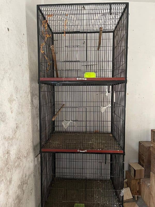 3 SEPERATE CAGES FOR BIRDS 4