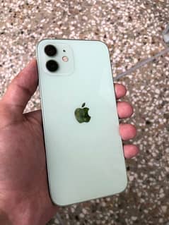 Iphone 12 128gb (non pta)