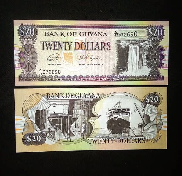 currency note / banknotes 1