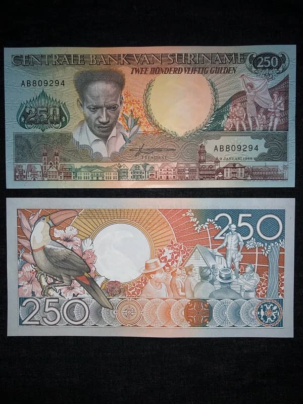 currency note / banknotes 8